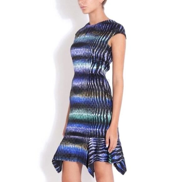 ASO BLAIR WALDORF PETER PILOTTO Digitally Printed Silk Dress Knee length sz 4 US - Picture 3 of 16